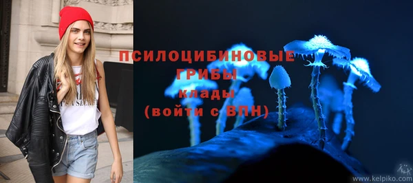 шишки Каменск-Шахтинский