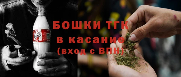 сатива Каменногорск