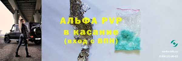 сатива Каменногорск