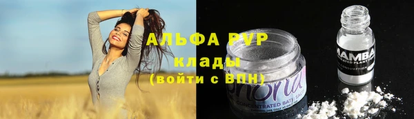 сатива Каменногорск