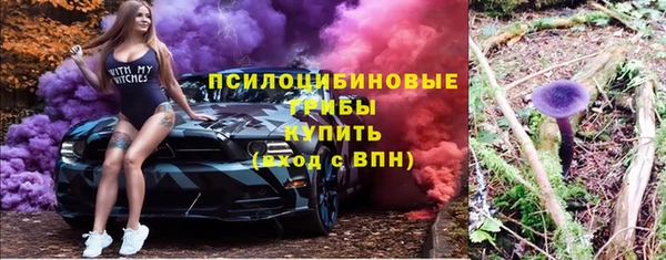 сатива Каменногорск