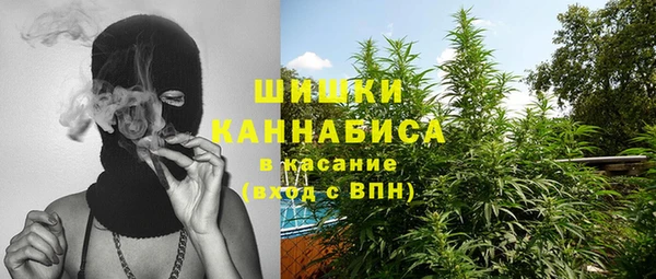 сатива Каменногорск