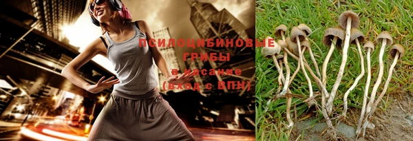 шишки Каменск-Шахтинский