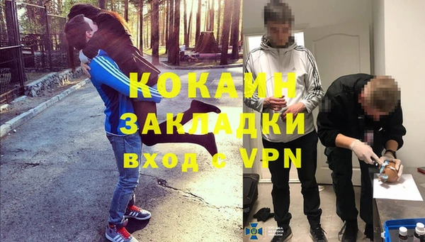 шишки Каменск-Шахтинский