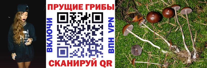 Купить Анжеро-Судженск Галлюциногенные грибы ЛСД
